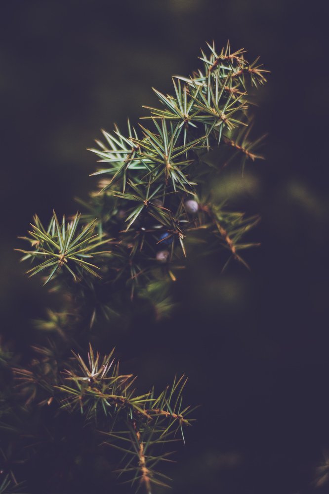 Photograph by Amra Kunduklija