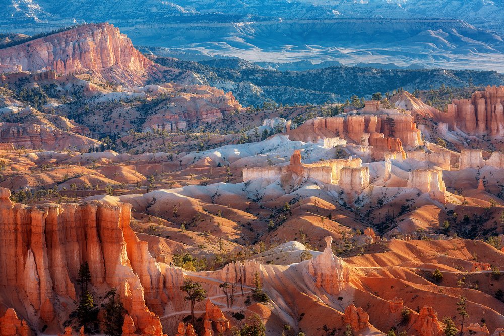 Фотография автора Alex Mironyuk