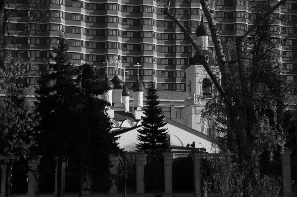 Photograph by Мария Баннова