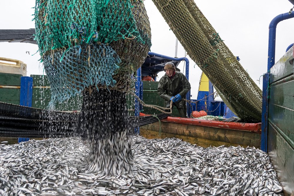 Photograph by Александр Абросимов