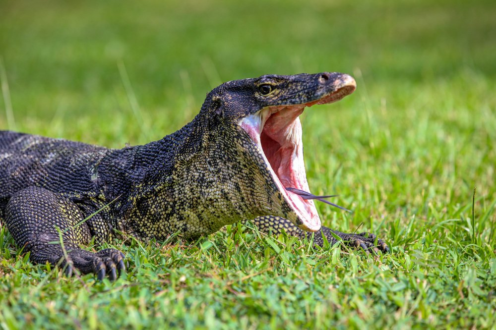 Photograph by АНДРЕЙ ВАГАНОВ