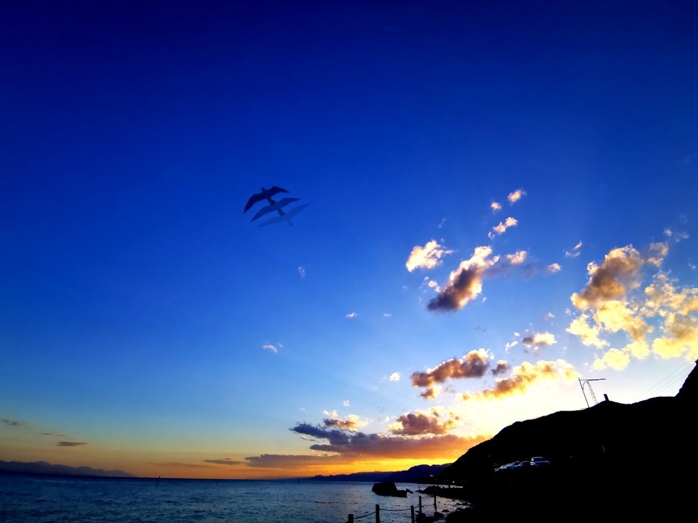 Photograph by Marina Persanova