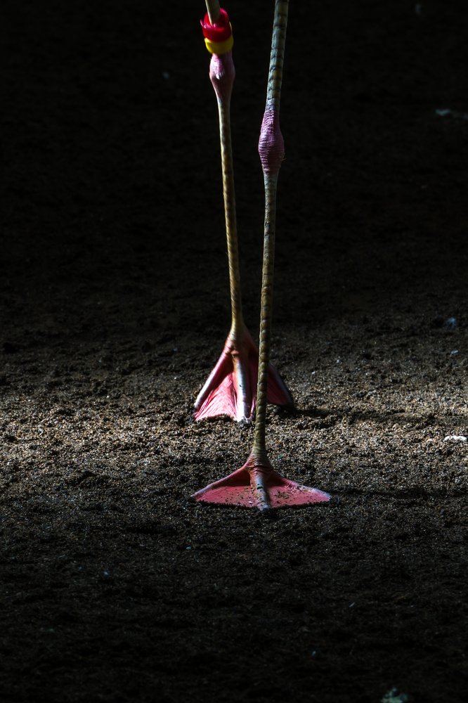 Photograph by Annie Sasaki