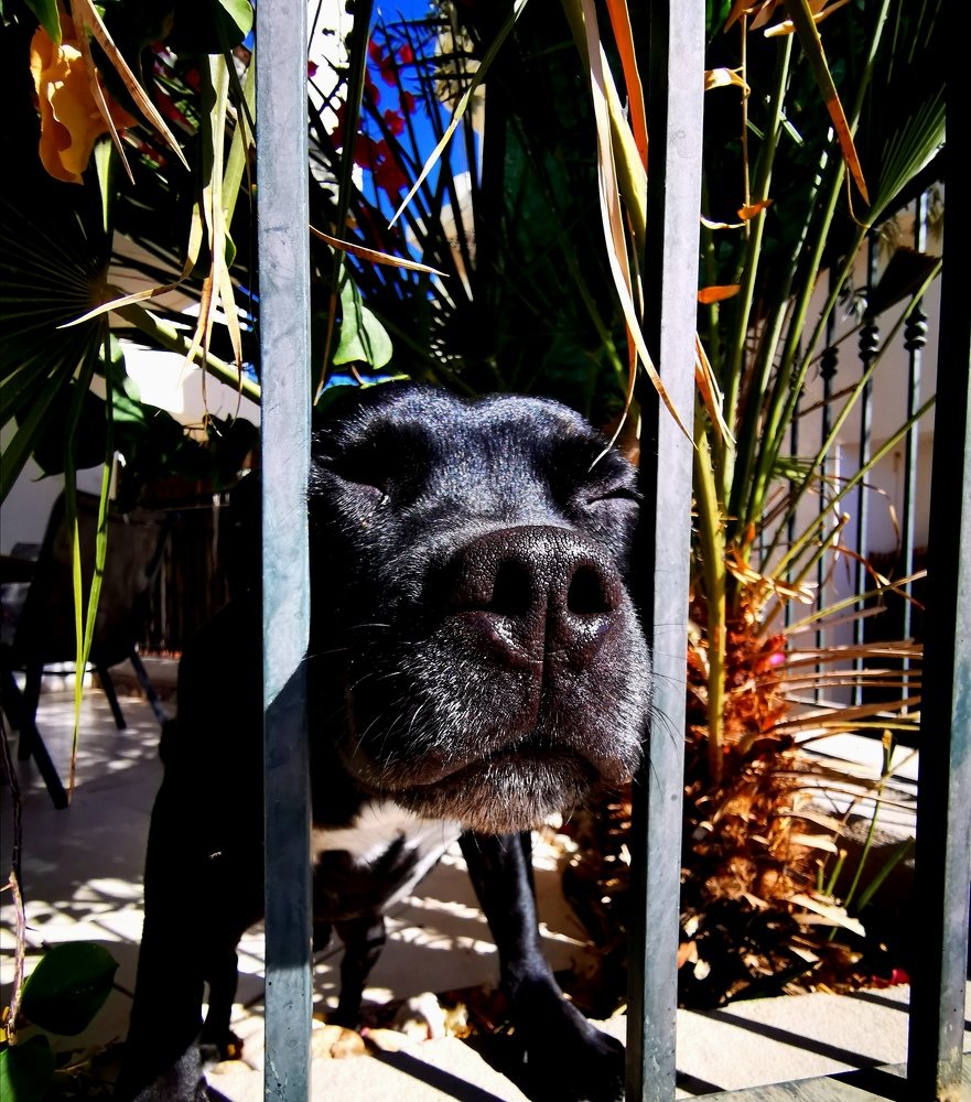 Photograph by Marina Persanova