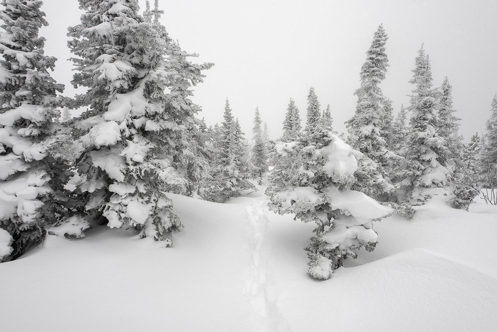 Там на неведомых дорожках...