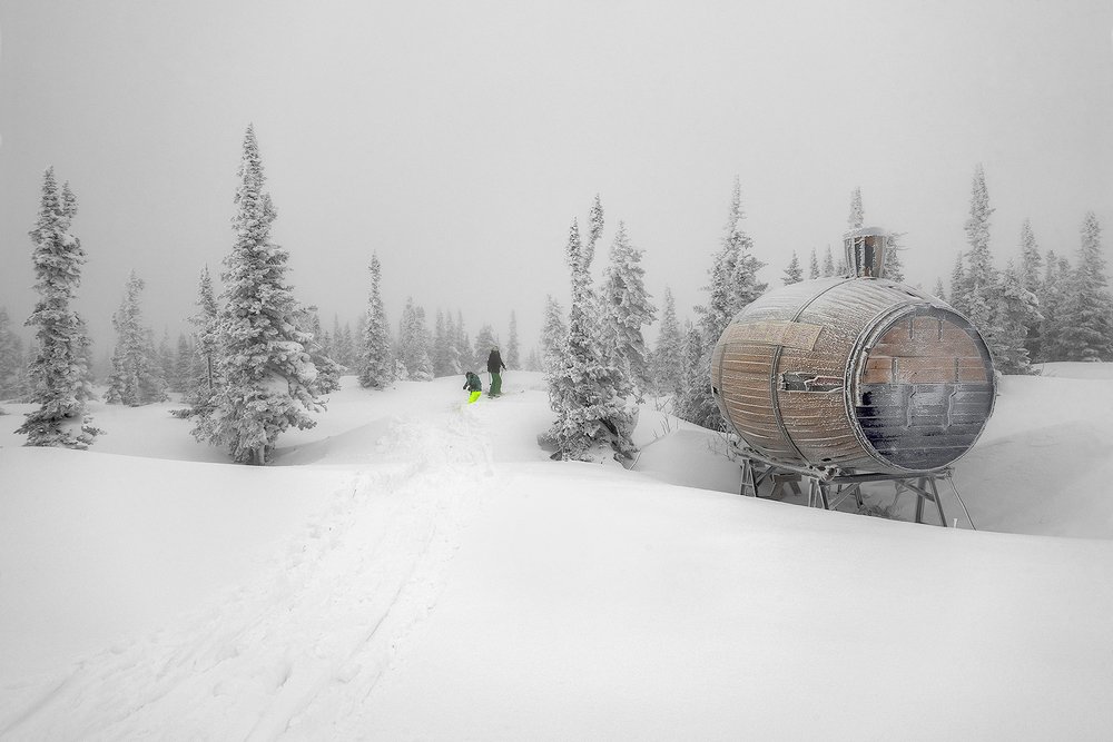 Шерегеш серебристый