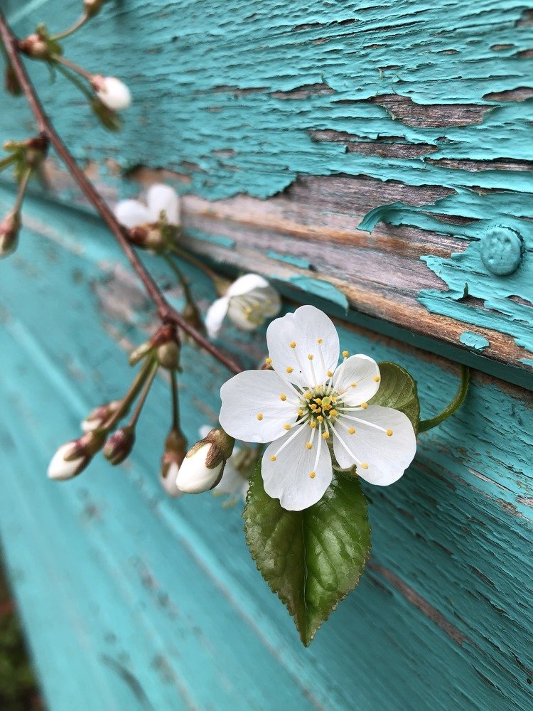 Photograph by Анастасия Бандрах