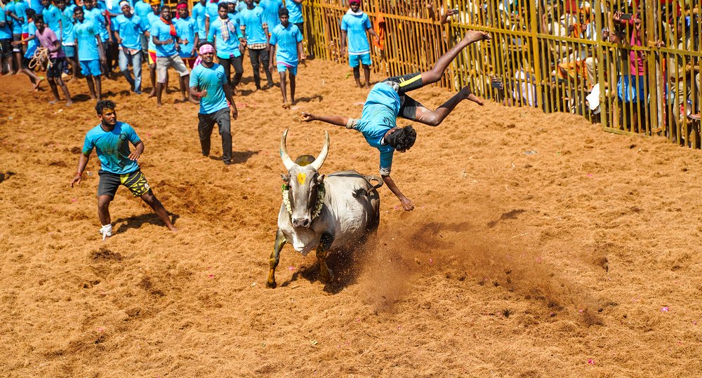 Photograph by sugu sugumaran