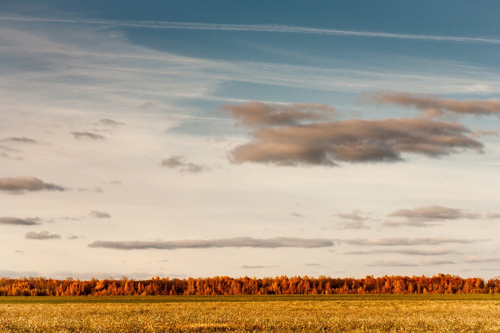 Photograph by Виктор Симонов