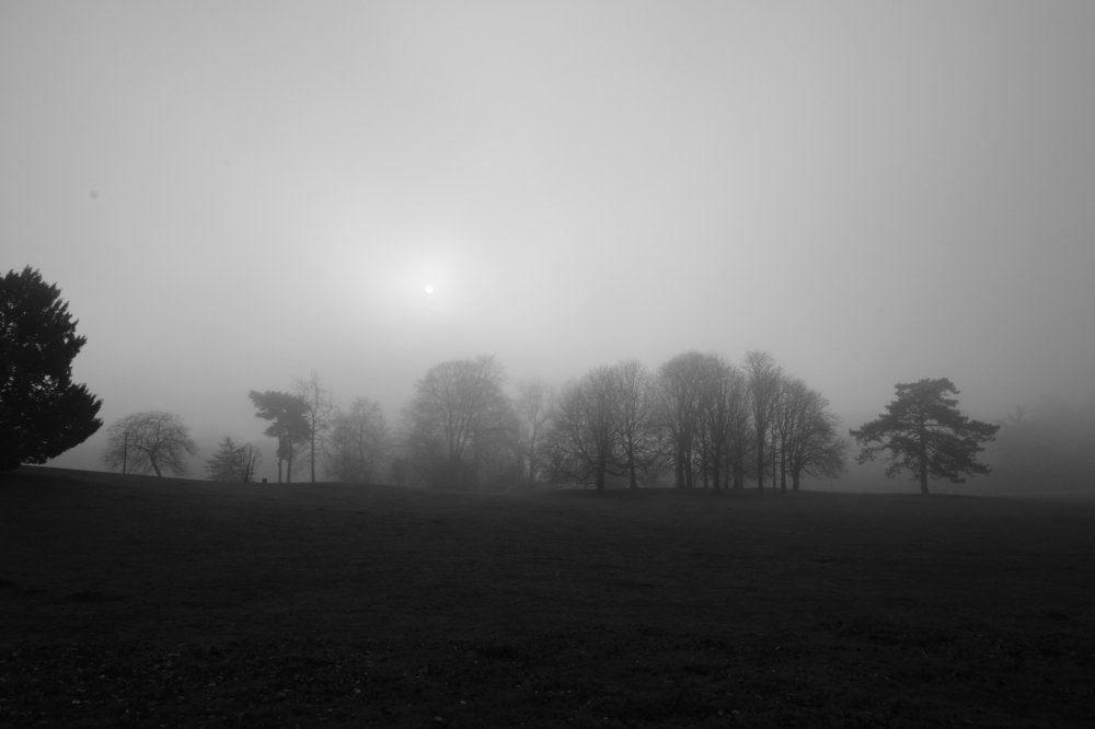 Photograph by Robert Chiorbeja