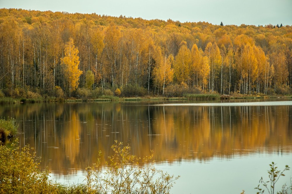 Photograph by Алексей Ошвинцев