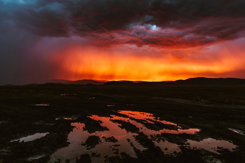 Photograph by Анастасия Нелень