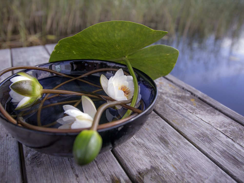 Photograph by Liudmila Drake