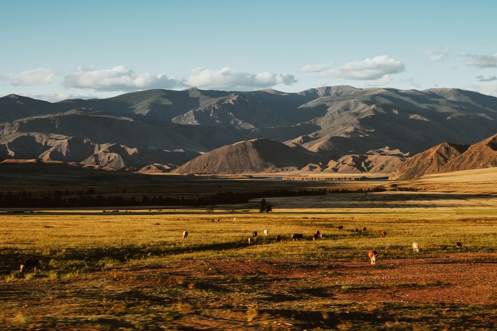 Photograph by Анастасия Нелень