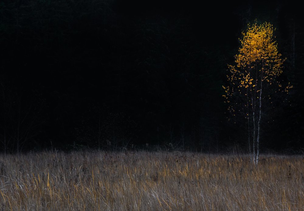 Photograph by Pavel Vaschenkov