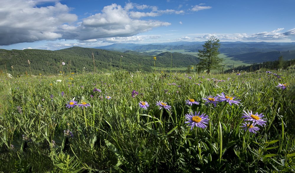 Photograph by Валентин Казанцев