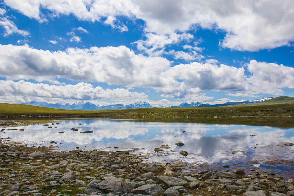 Photograph by Елена Гребенникова