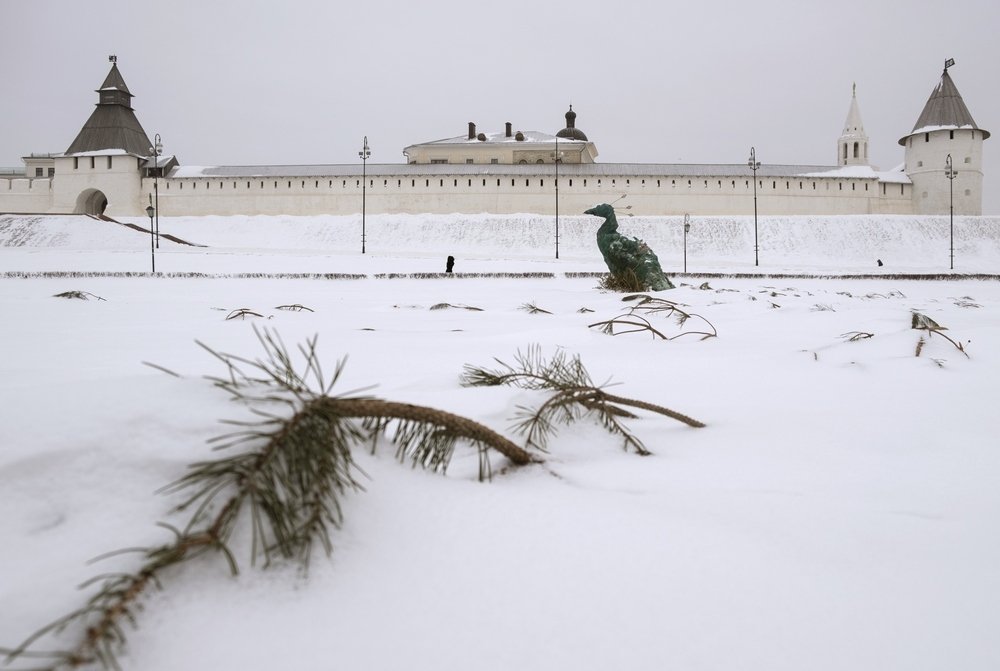 Фотография автора Владимир