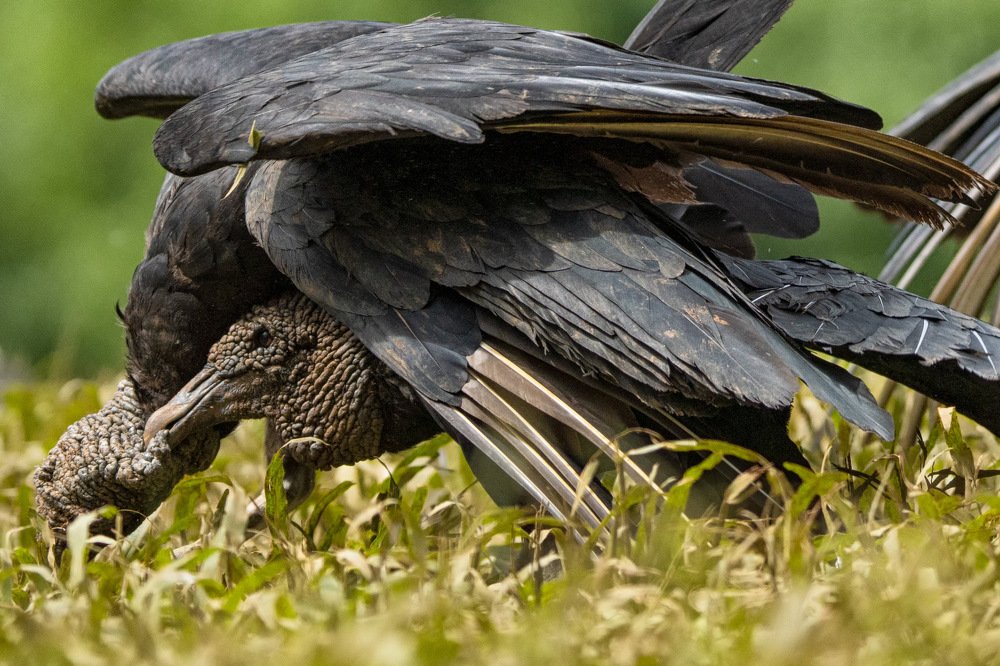 Ты мне не друг