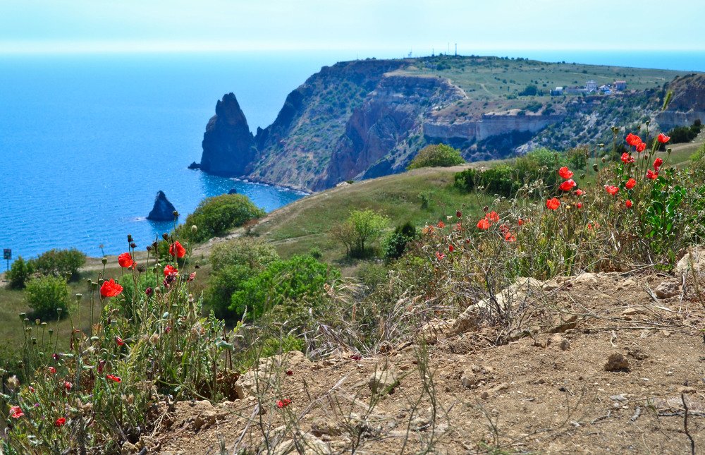 Photograph by Olga Kazakova