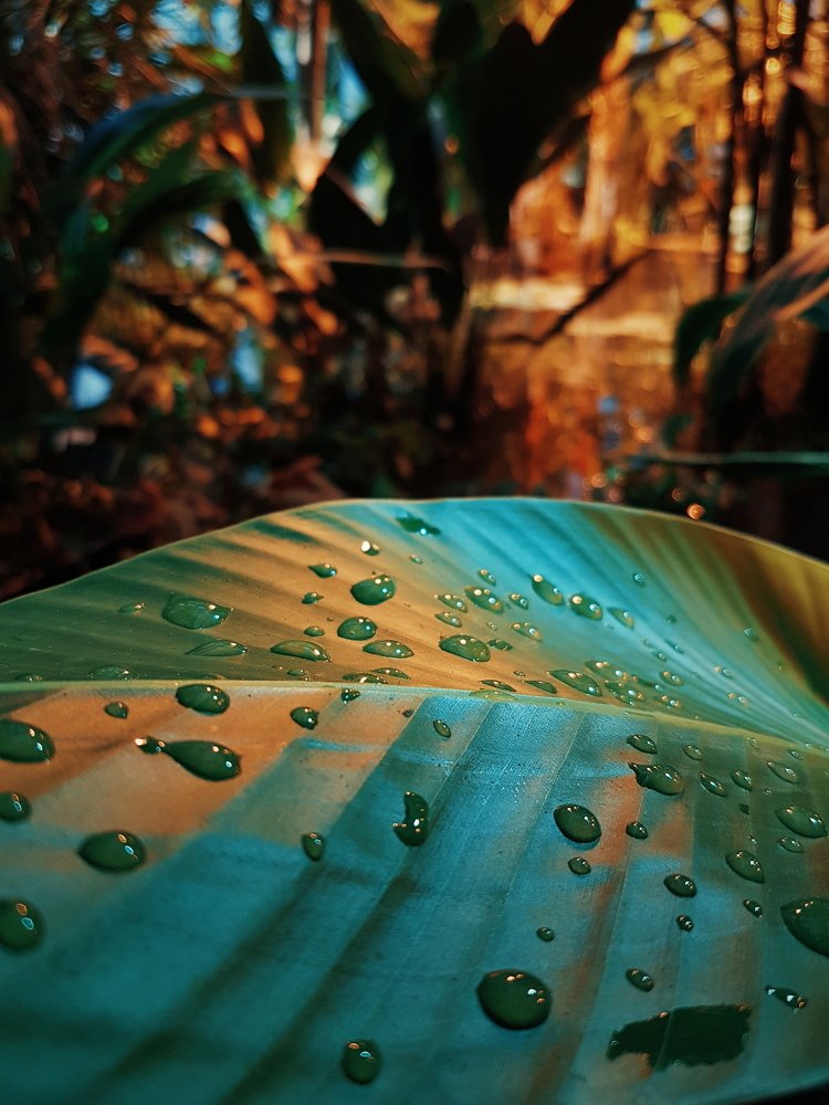 Photograph by Tatiana Potapenko