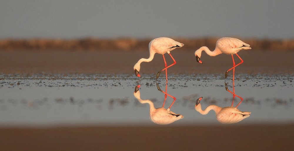 Photograph by Raghavendra Prasad H S