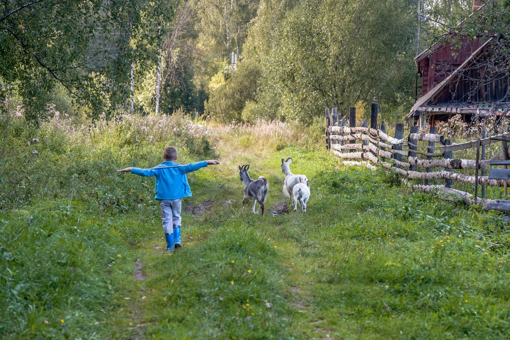 Photograph by Виктор Симонов