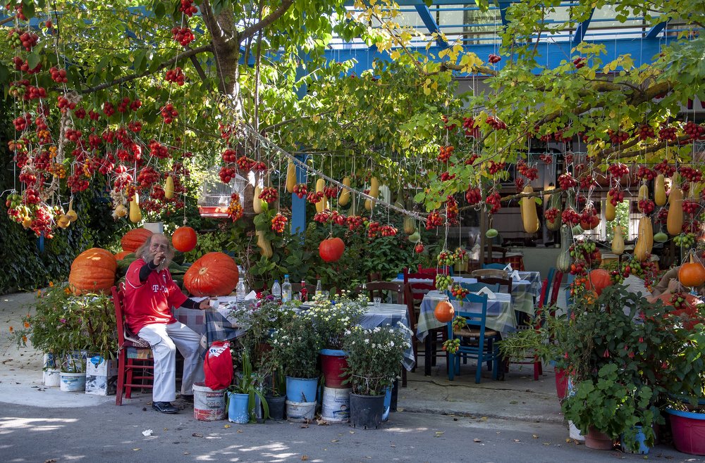 Кафе Тыква и томат