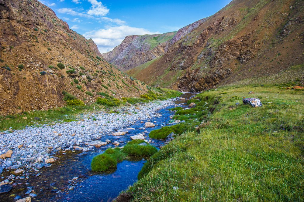 Photograph by Елена Гребенникова