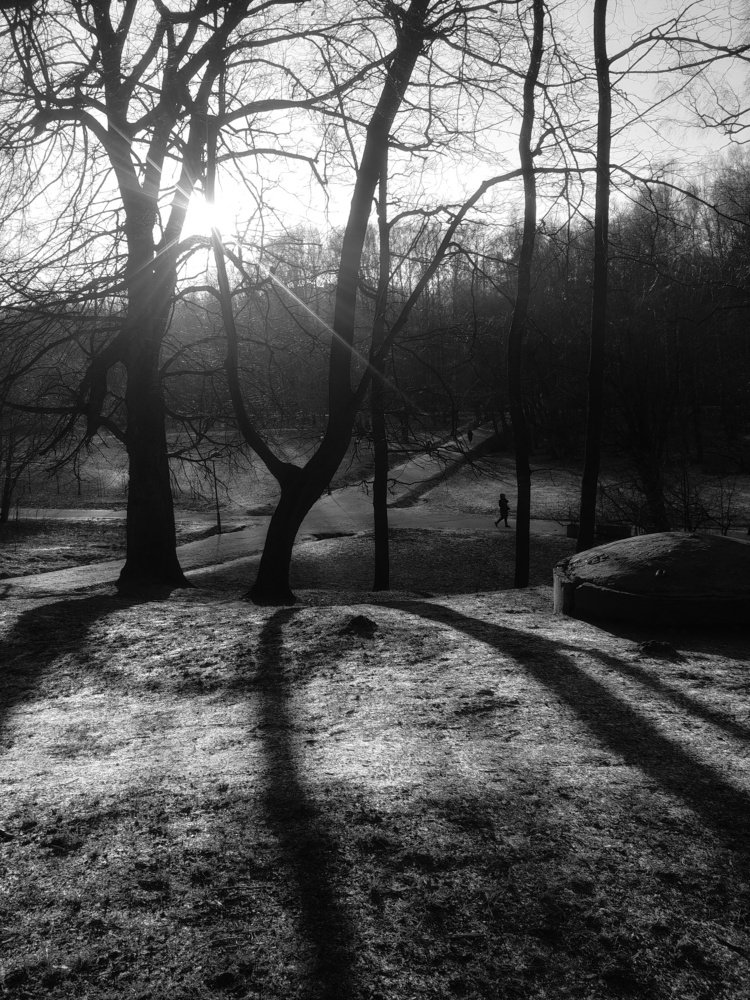 Photograph by Юлия Доронина