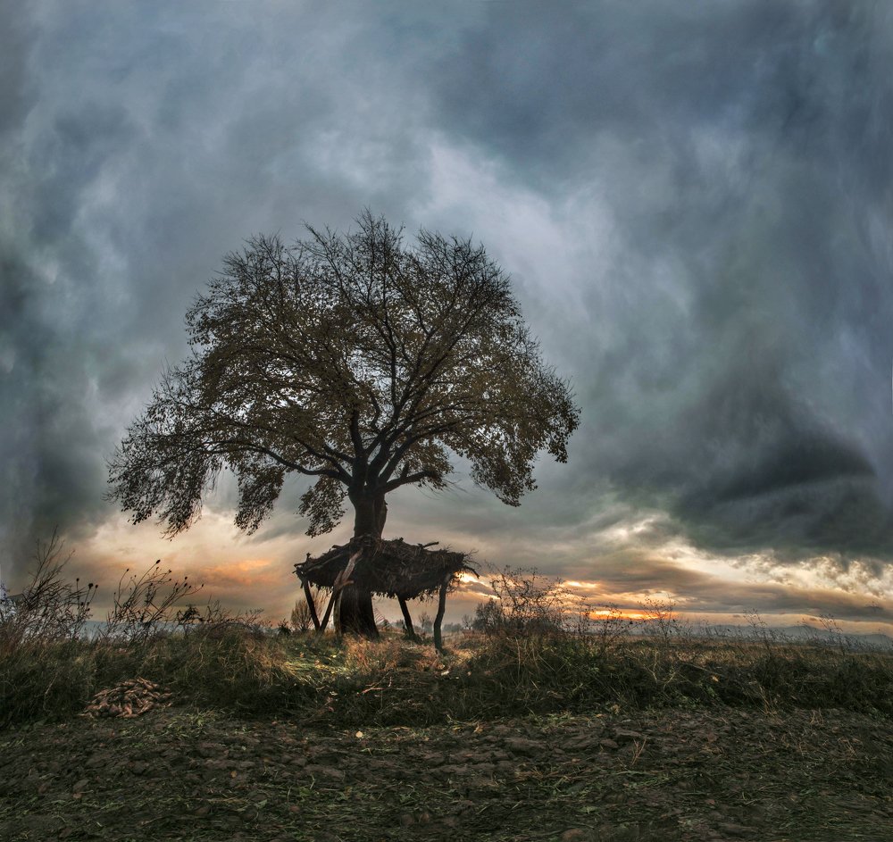 Photograph by abdolmoeed (hiwa) Maroufi