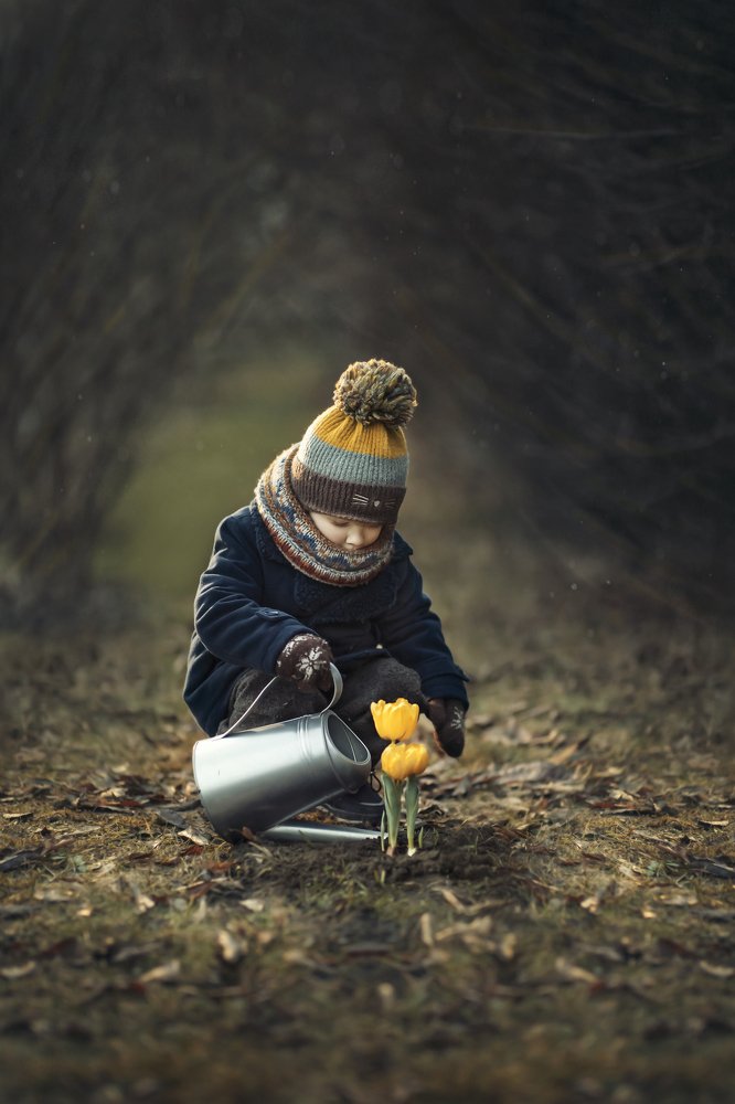 Первые тюльпаны