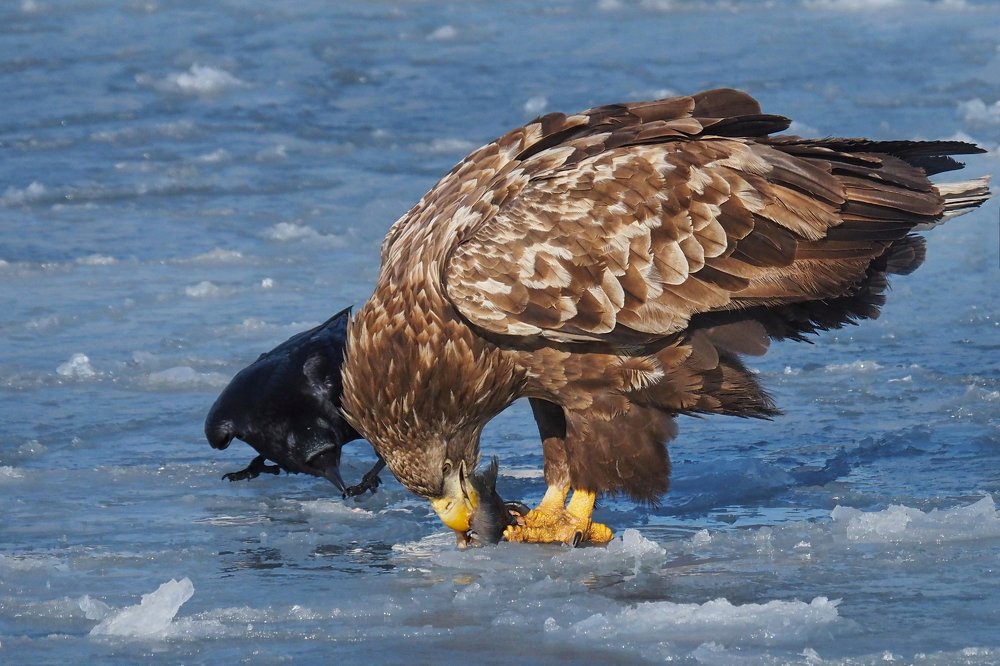 Искренний Интерес!