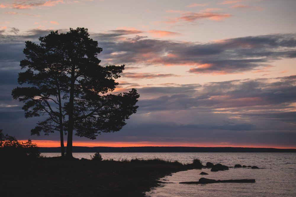 Photograph by Денис Кошкин