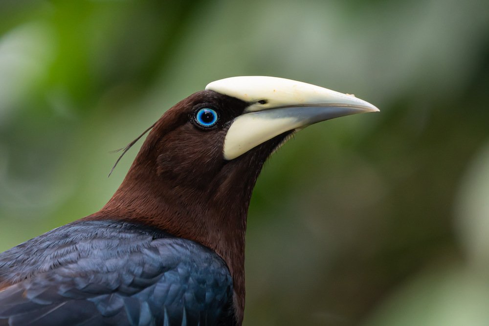 Photograph by Оксана Быстрицкая