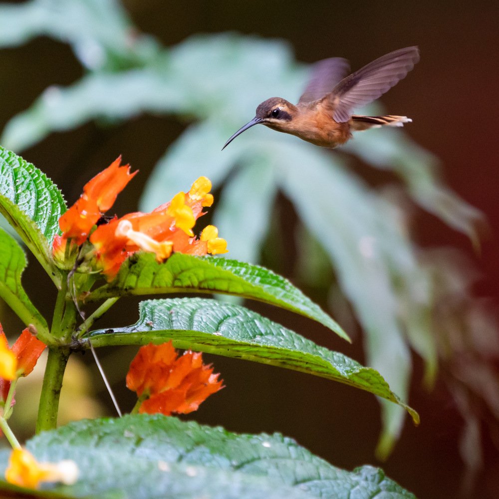 Photograph by Оксана Быстрицкая