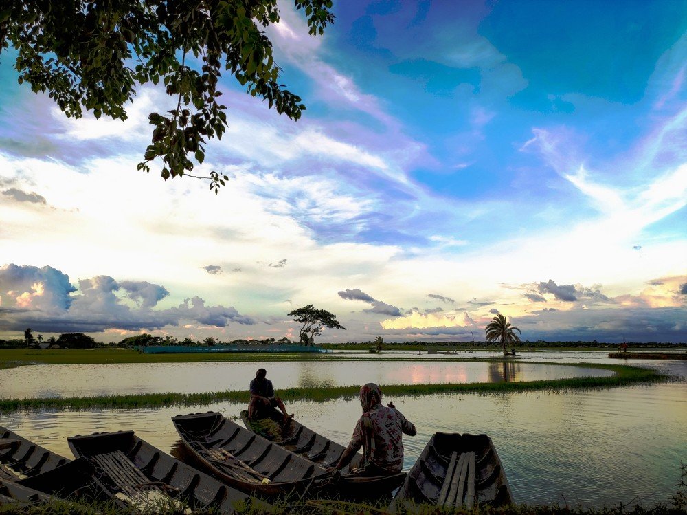 Photograph by Joy Mondal