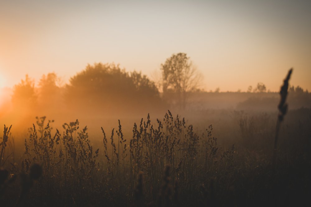 Photograph by Денис Кошкин