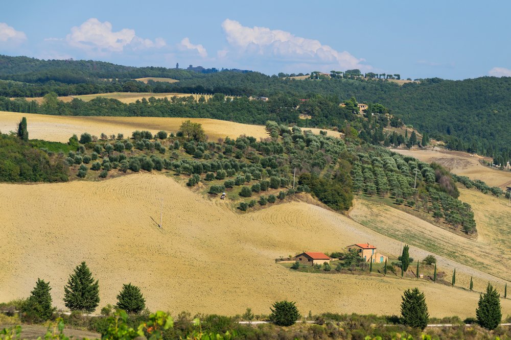 Фотография автора Андрей Симонов
