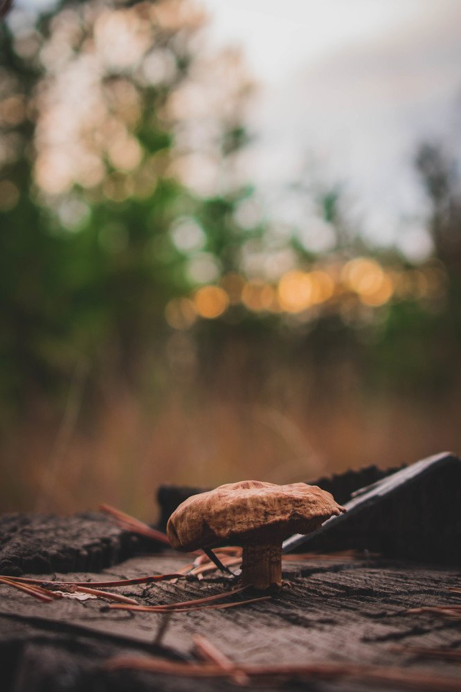 Photograph by Денис Кошкин