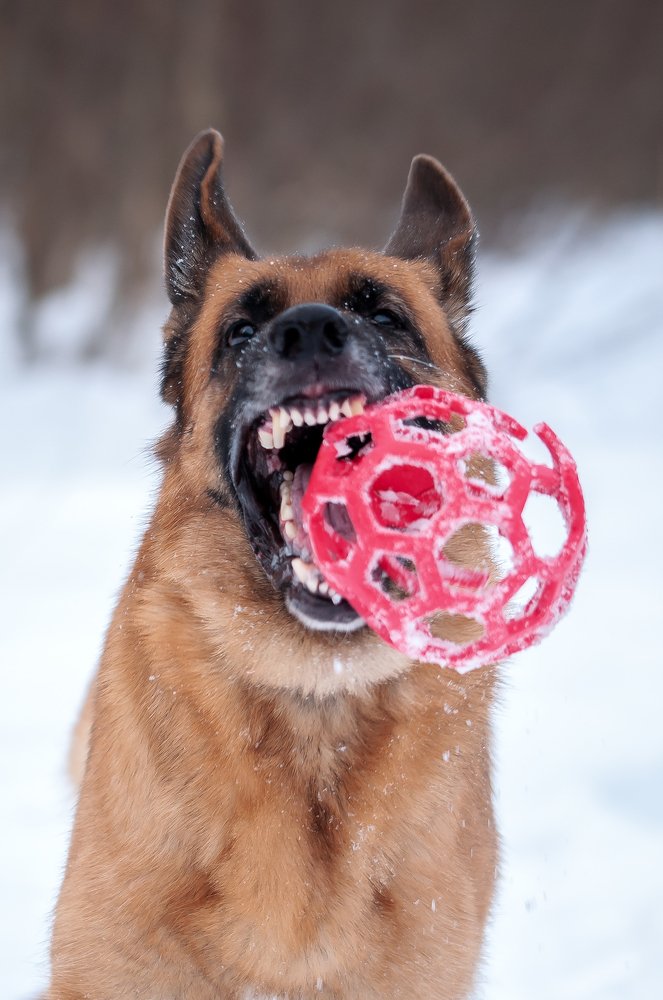 Photograph by Светлана