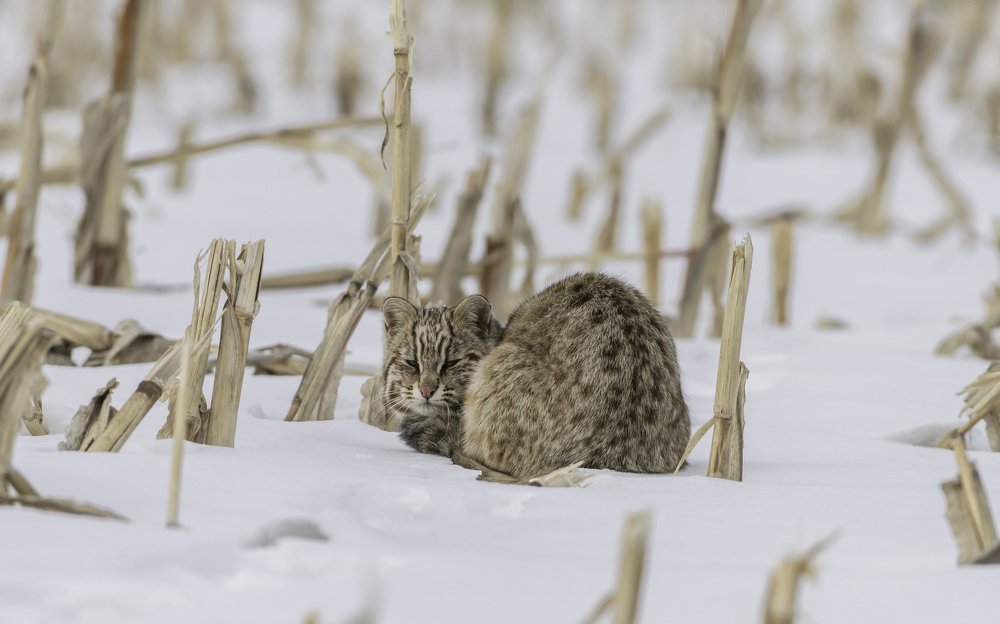 может хватит меня фотографировать?
