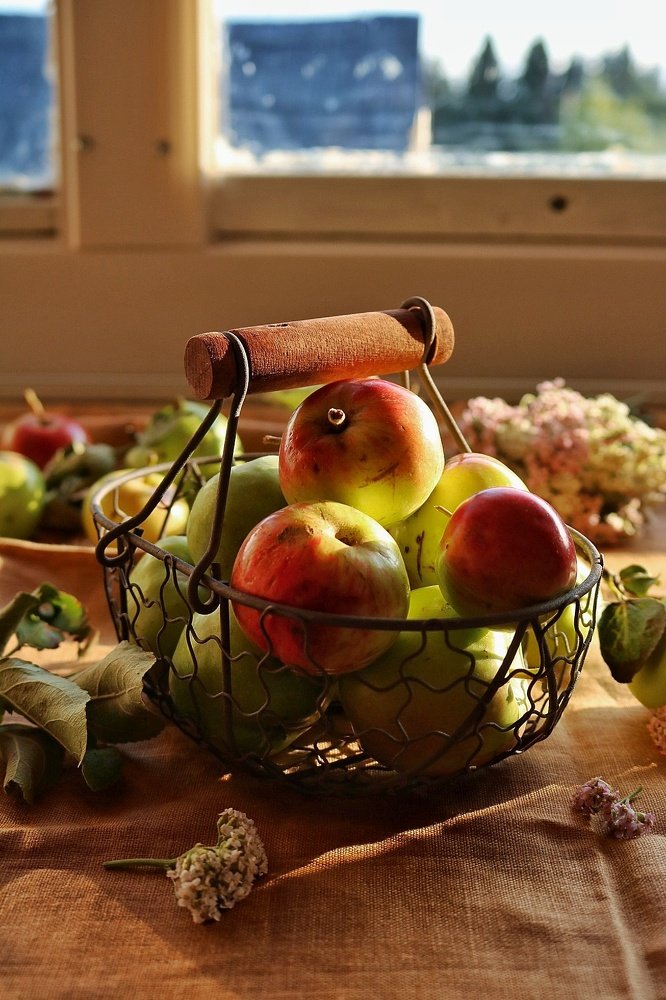 Photograph by Юлия Мухачёва