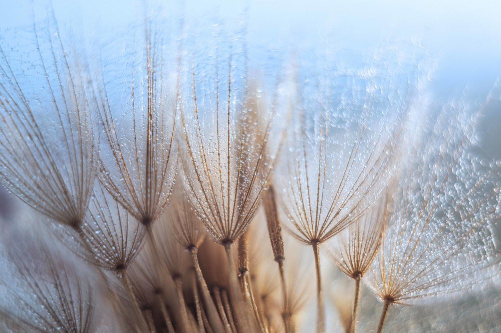 Photograph by Нурият Аллаярова