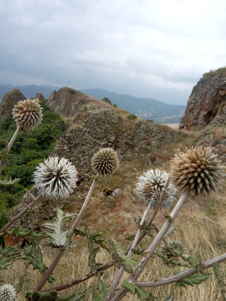 Photograph by Надежда