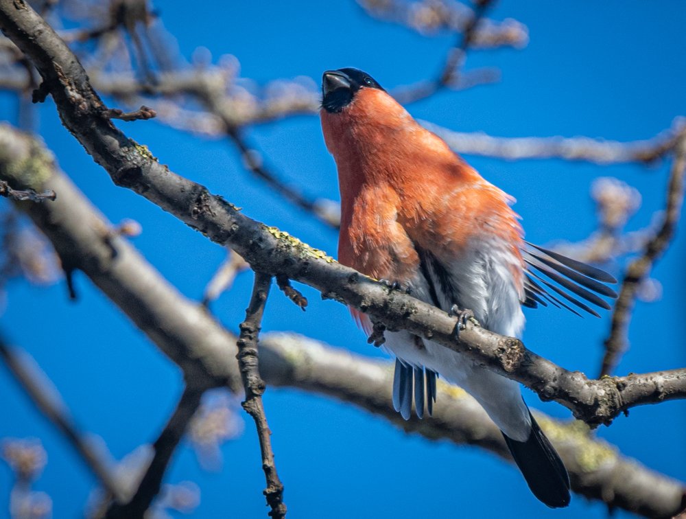 Photograph by Курлянцев Алексей