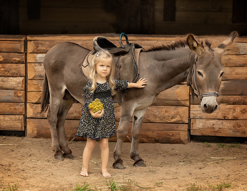 Фотография автора Ирина Кожина