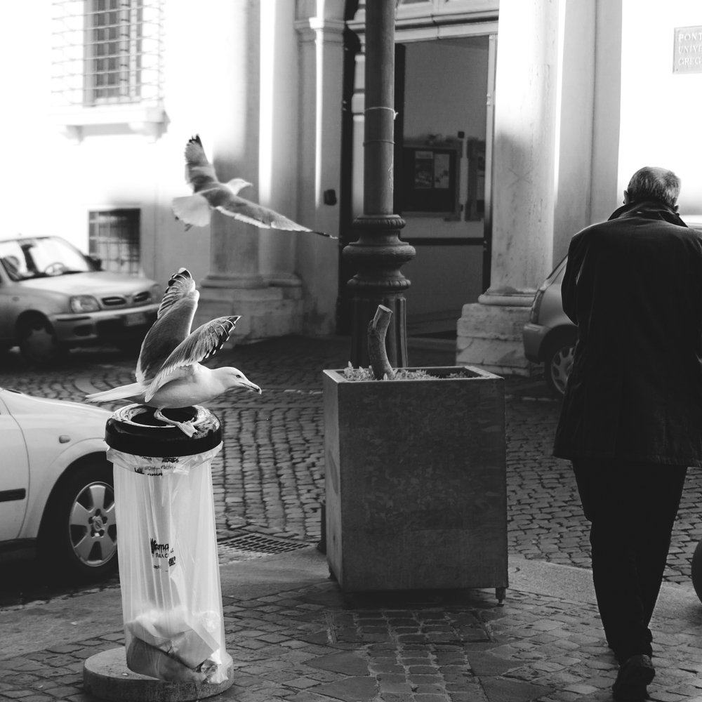 Photograph by Светлана Теперкина