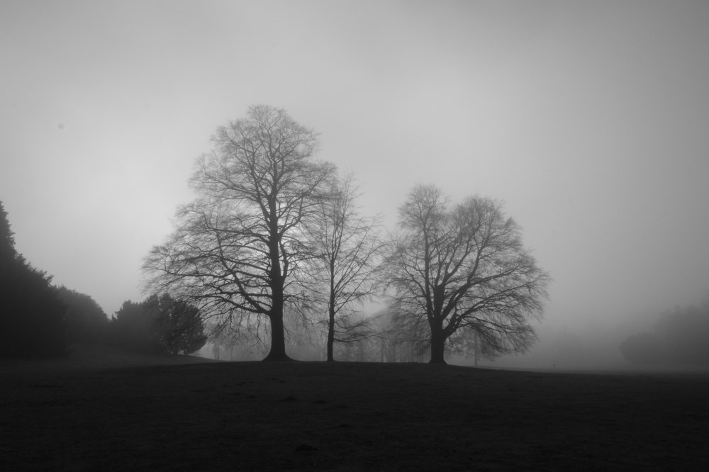 Photograph by Robert Chiorbeja