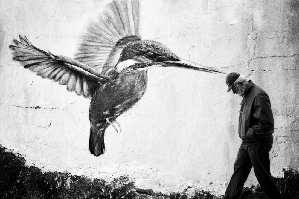 Photograph by Alexander Schönberg